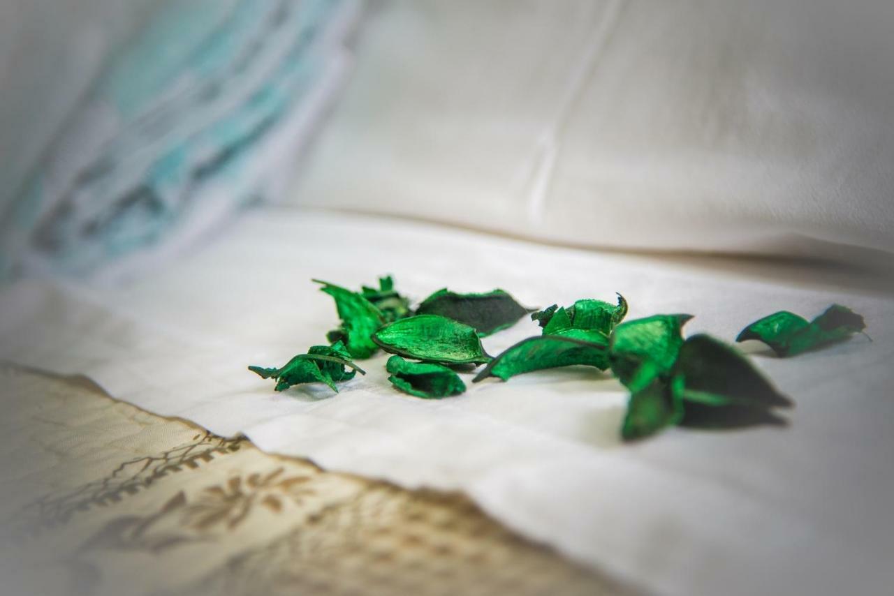 Adria Bella Locazione Turistica Bed & Breakfast Ngoại thất bức ảnh