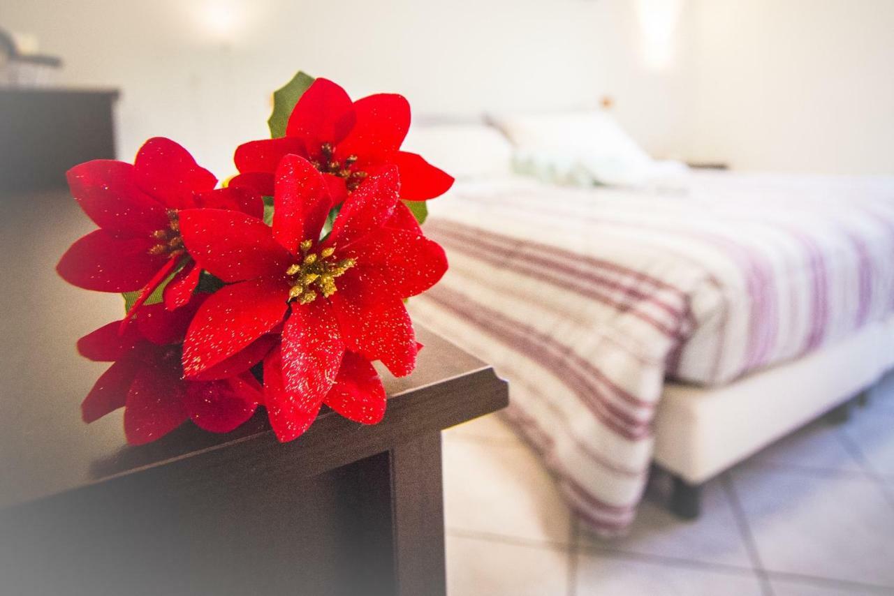 Adria Bella Locazione Turistica Bed & Breakfast Ngoại thất bức ảnh